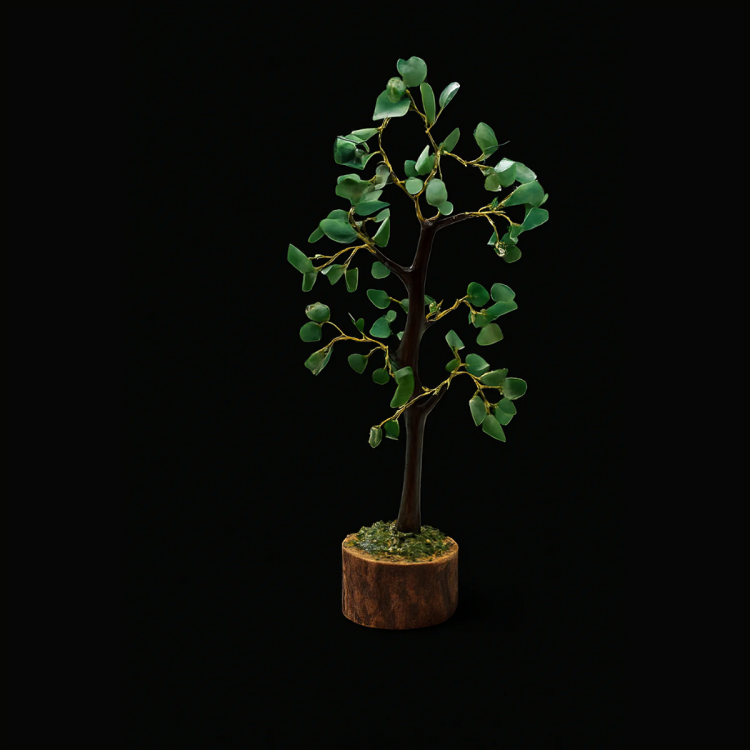 Green Jade Tree
