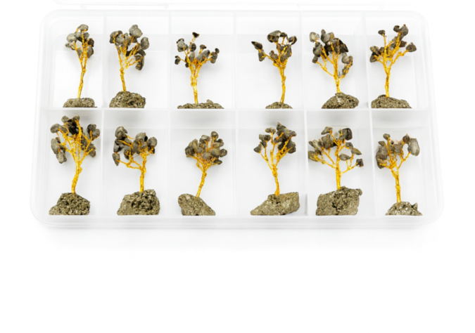 Mini Pyrite Tree Box