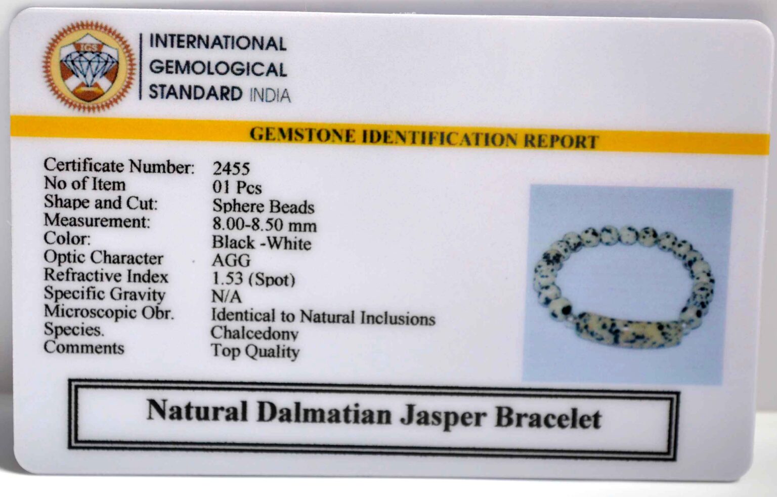 Dalmatian Jasper Energy Curve Bracelet