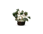 Green Jade Mini Tree