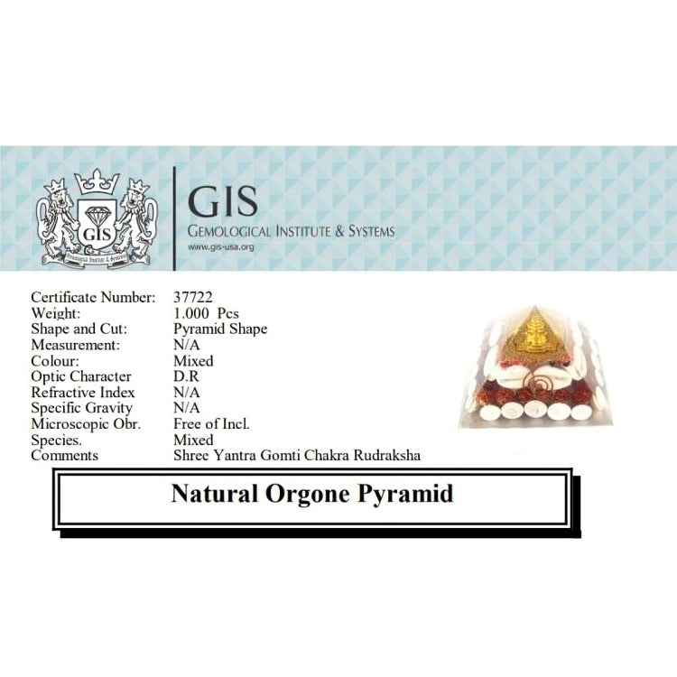 ShreeYantra Gomti Chakra Rudraksha  Orgone Pyramid