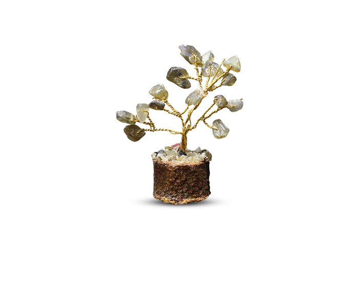 Labradorite Mini Tree