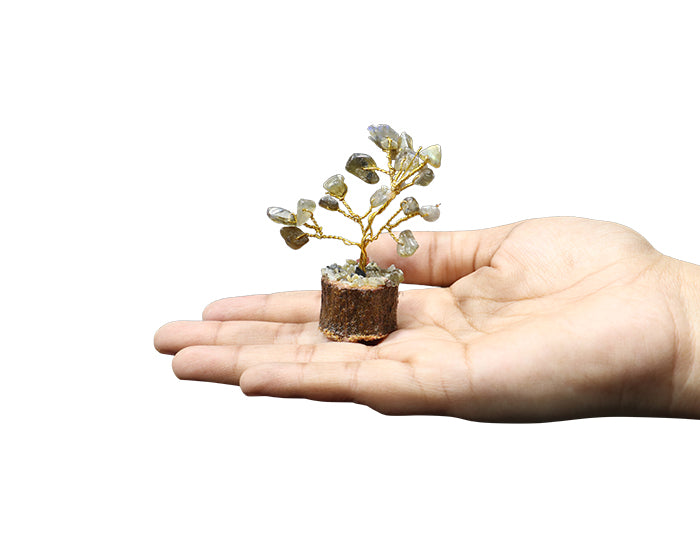 Labradorite Mini Tree
