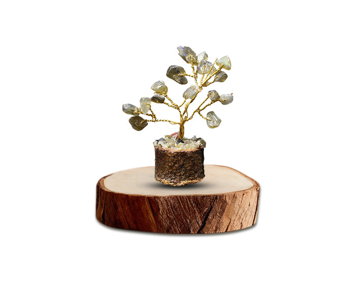 Labradorite Mini Tree