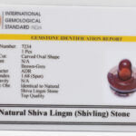 Narmadeshwar Shivling