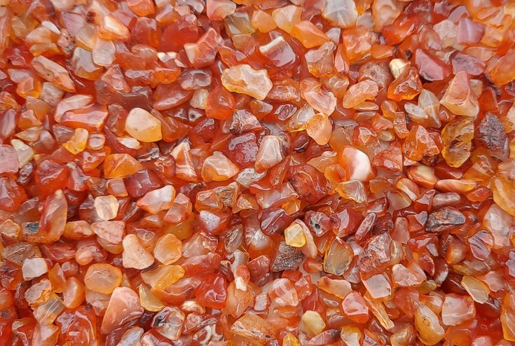 Carnelian Chips 50 gms
