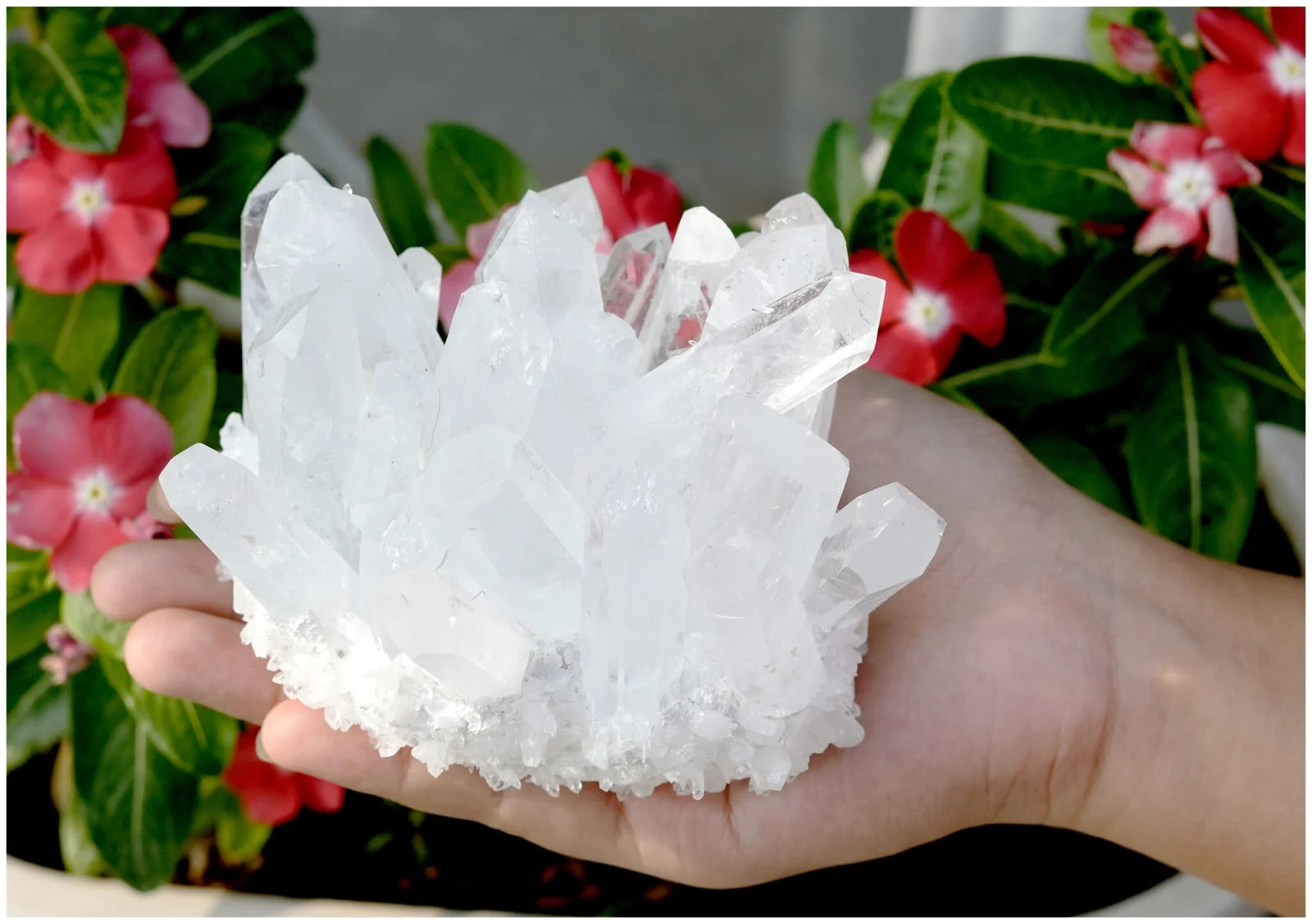 Crystal Family Quartz