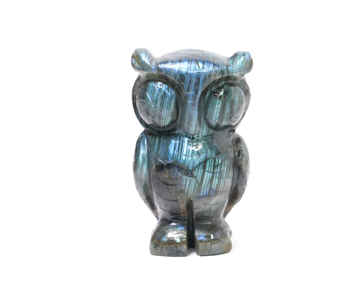 Labradorite Owl