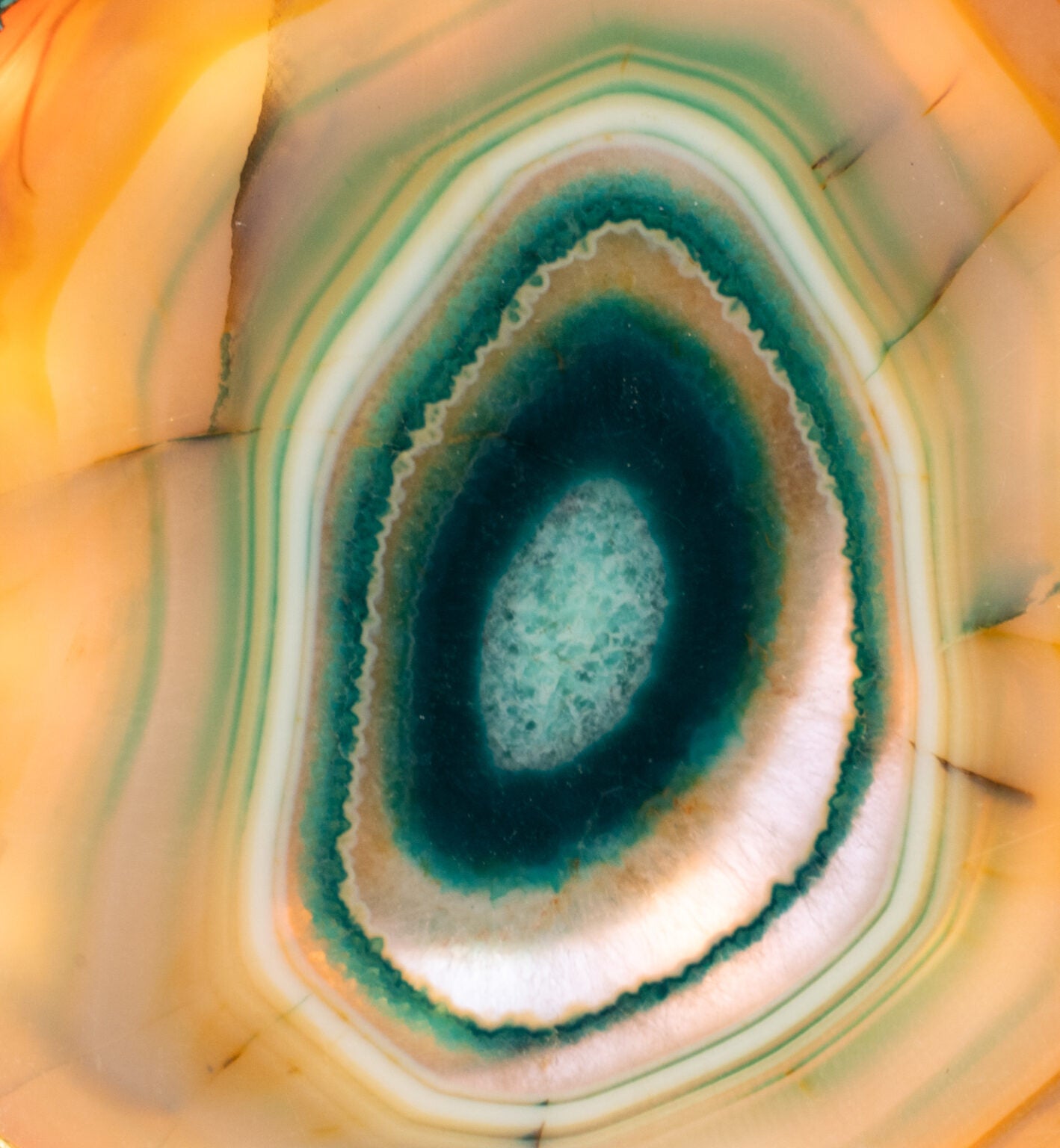 Brown &amp; Green Agate Slice