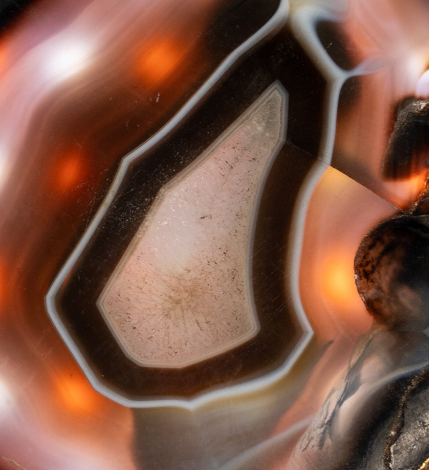 Brown Agate Slice (Big)