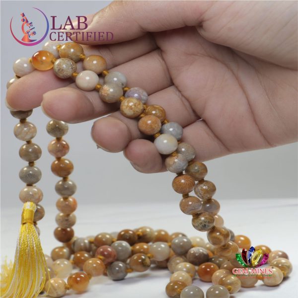 Fossilized Coral Jaap Mala 8 mm