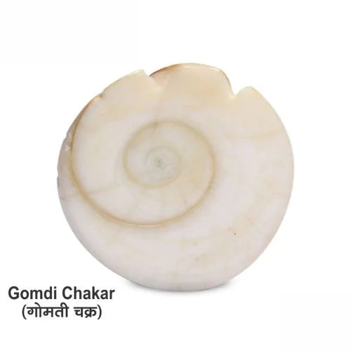 Ganesh Gomti Chakra (100% Original)