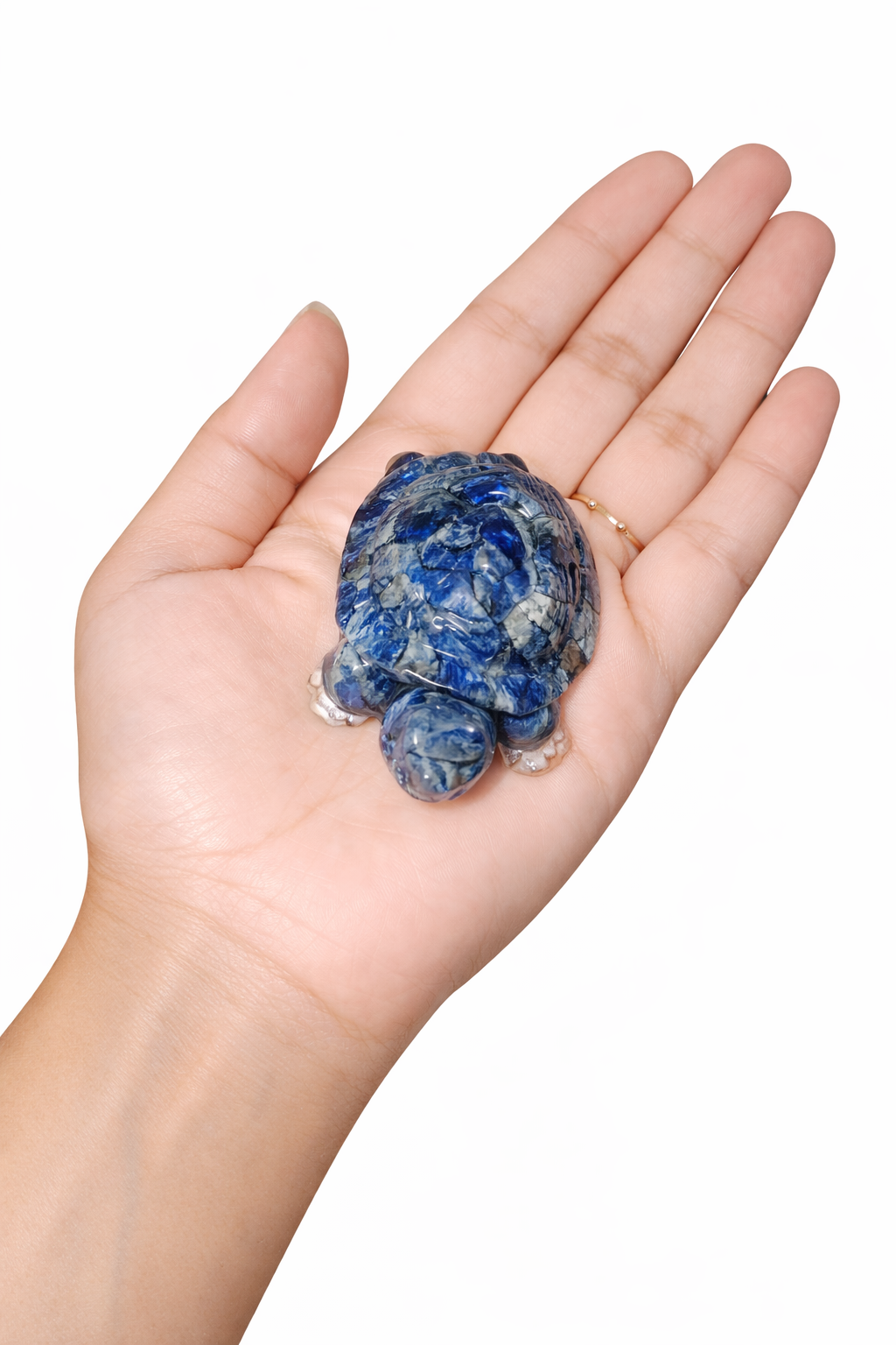 Lapis Lazuli Kachua / Turtle