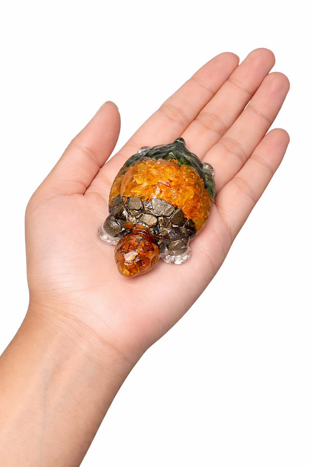 Money Magnet Kachua / Turtle