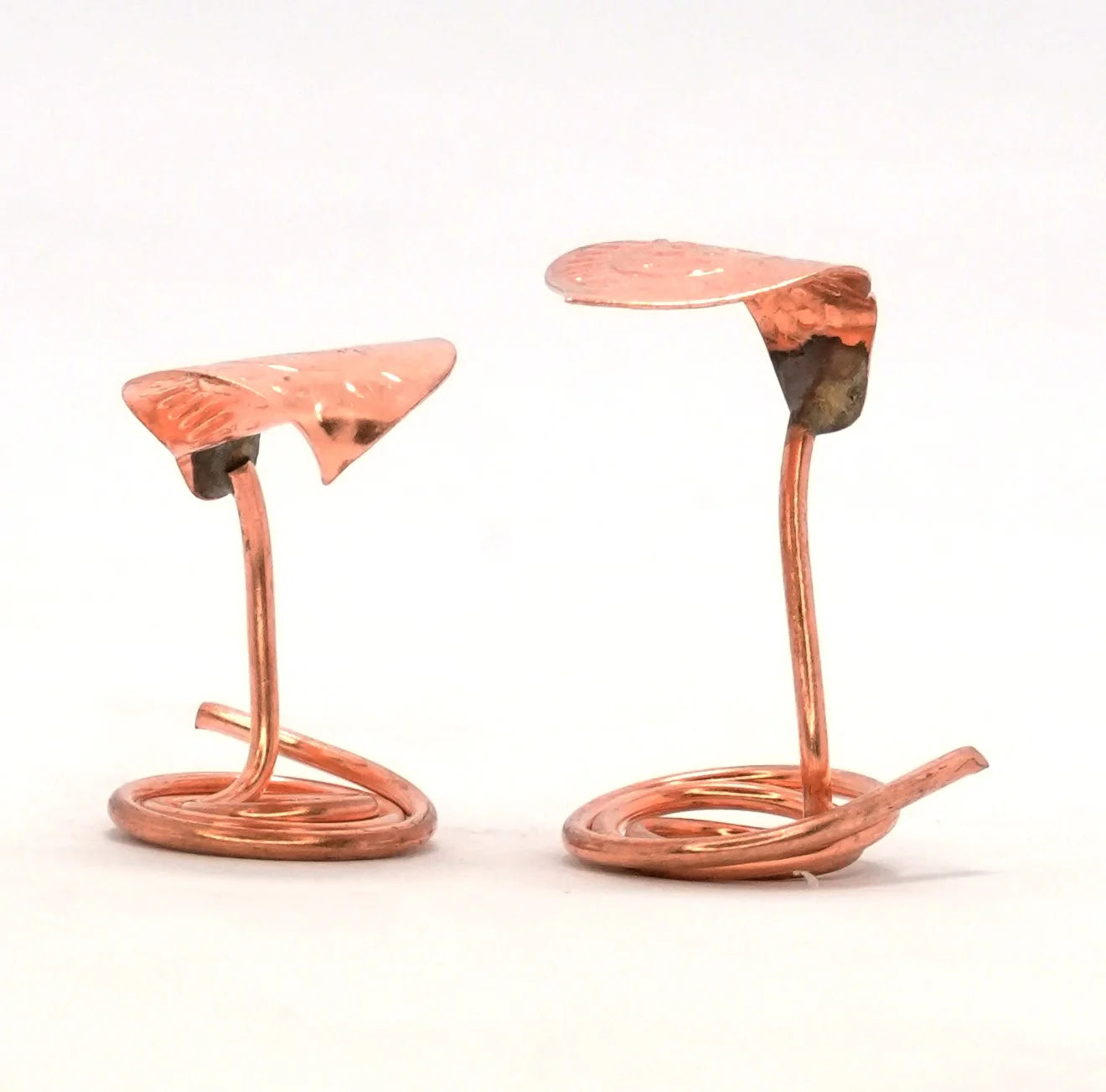 Natural Copper Naag Nagin Joda