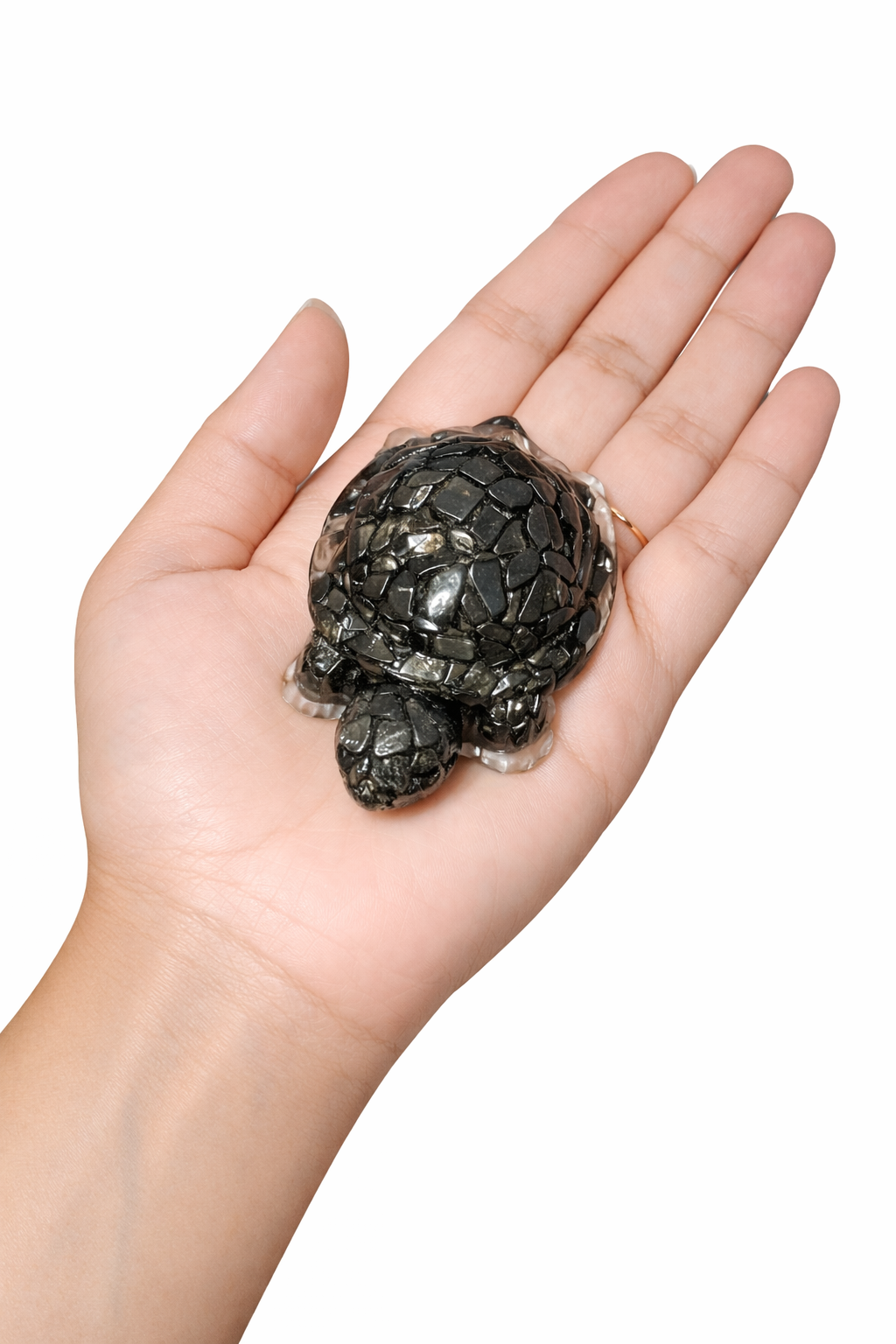 Pyrite  kachua / Turtle