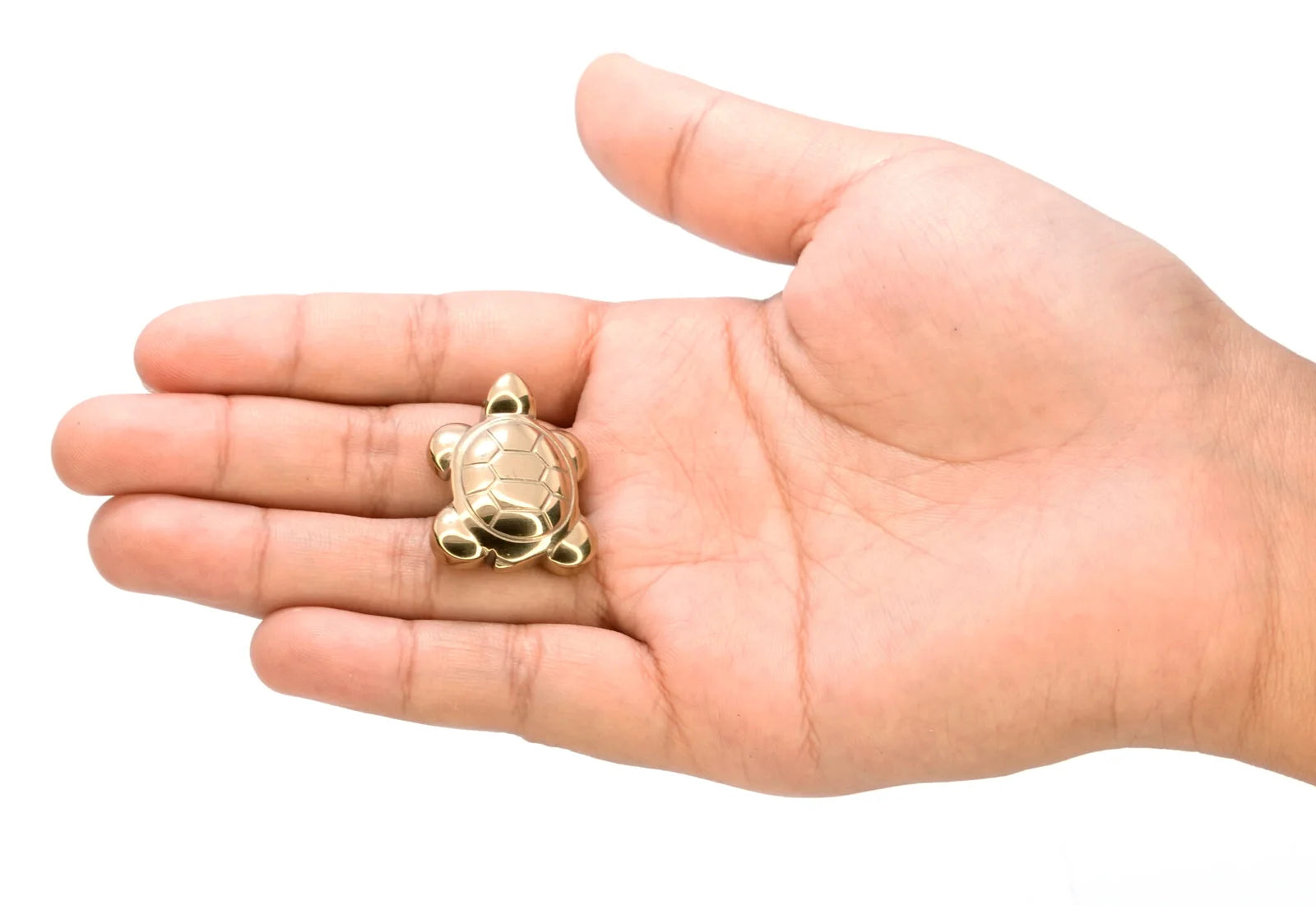 Pyrite Turtle