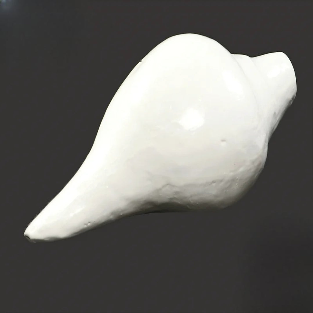 Certified Natural Pooja Shankh