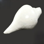 Certified Natural Pooja Shankh