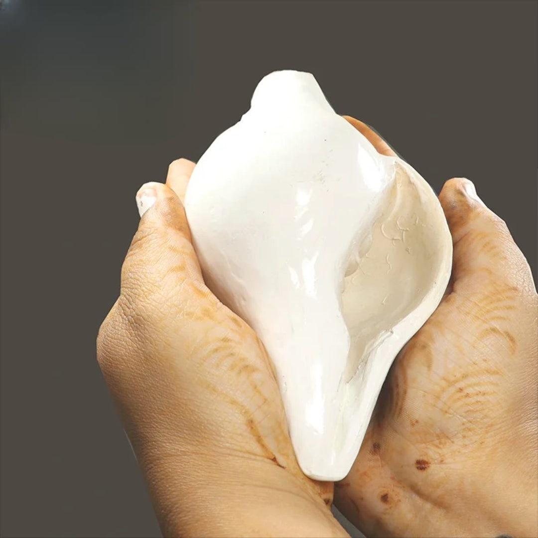 Certified Natural Pooja Shankh
