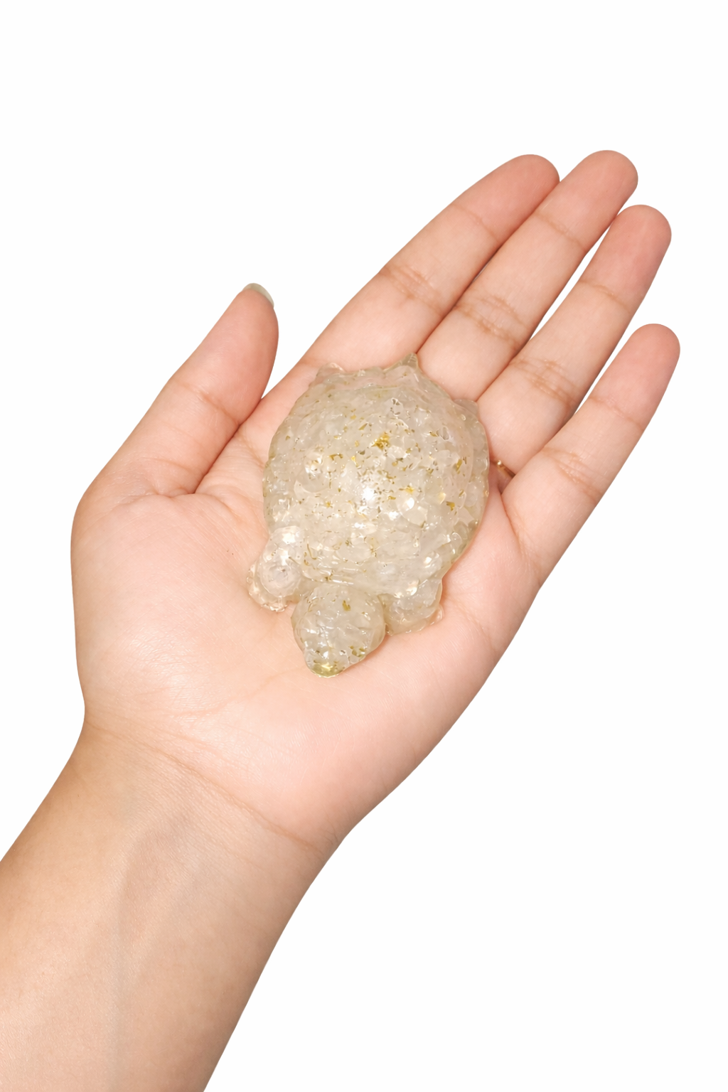 Sphatik kachua / Turtle