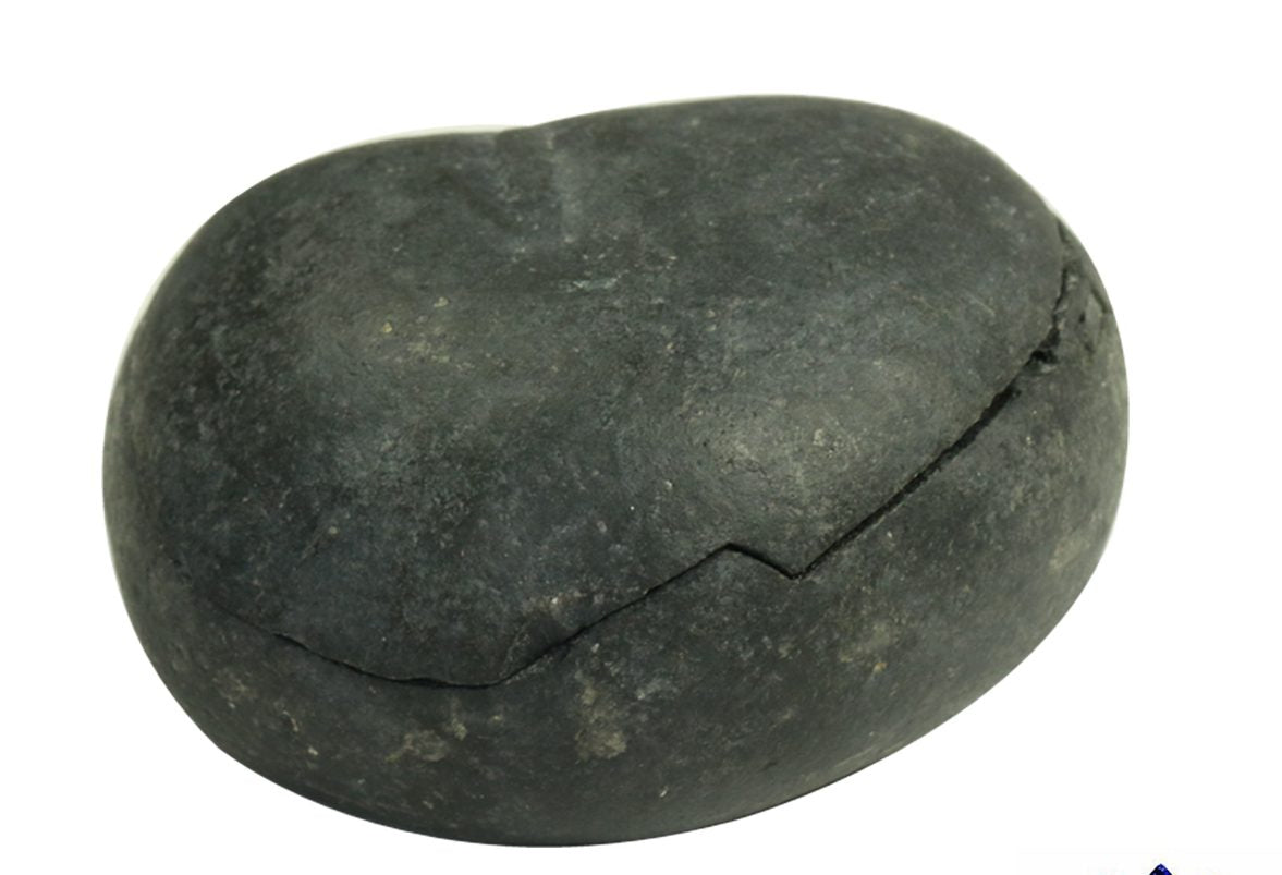 Natural Shaligram