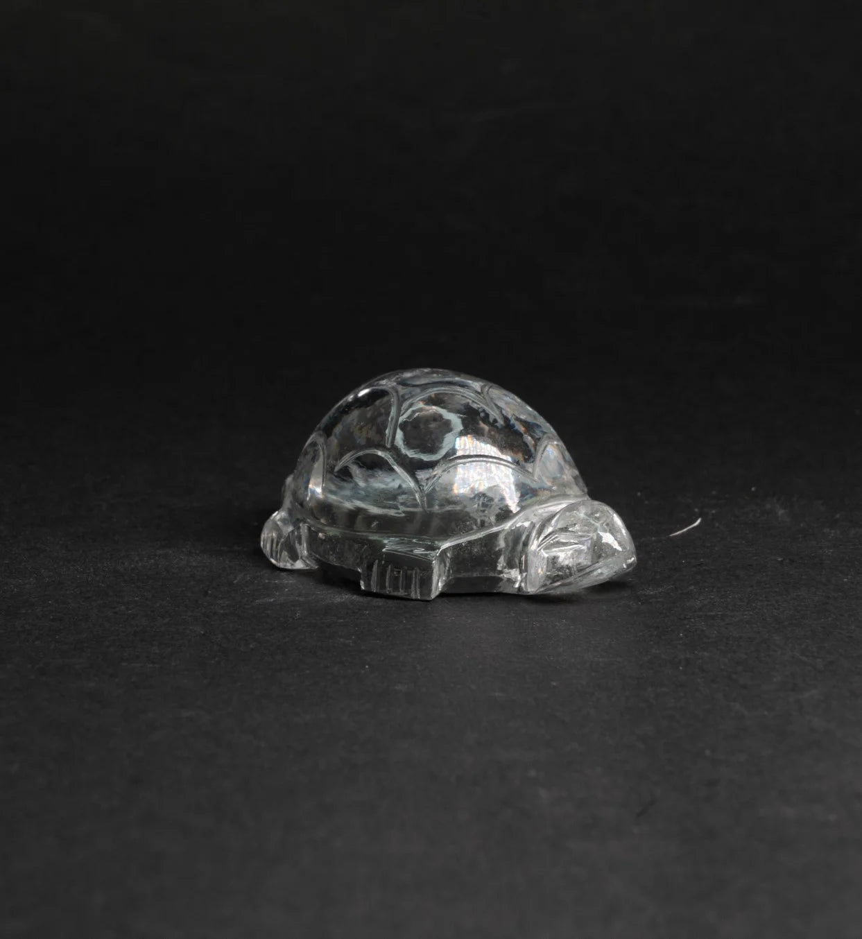 Sphatik Turtle