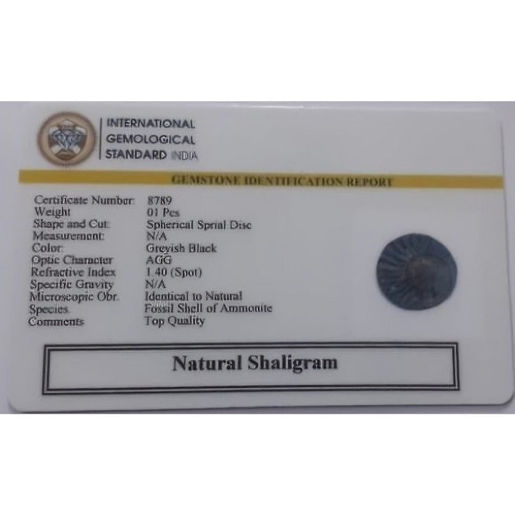Natural Shaligram