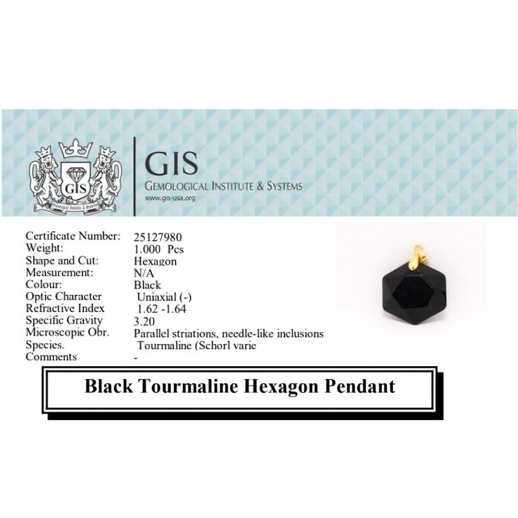Black Tourmaline Hexagon Pendant