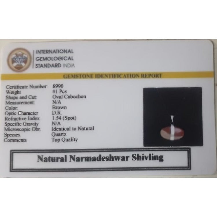 Natural Narmadeshwar Shivling Pendant
