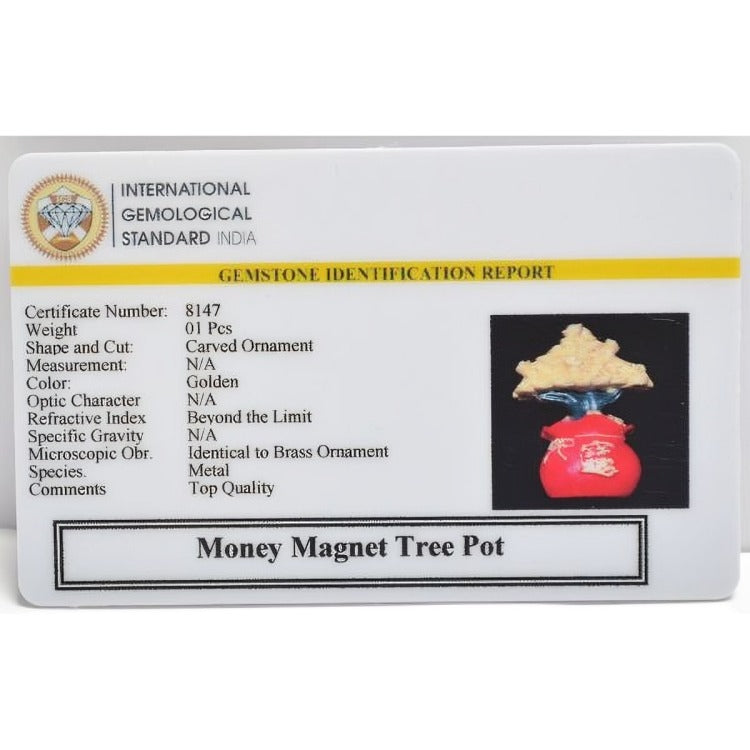 Money Magnet Tree