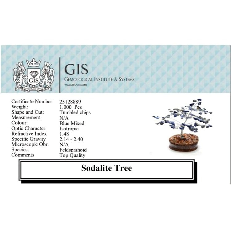 Sodalite Silver Wire Tree