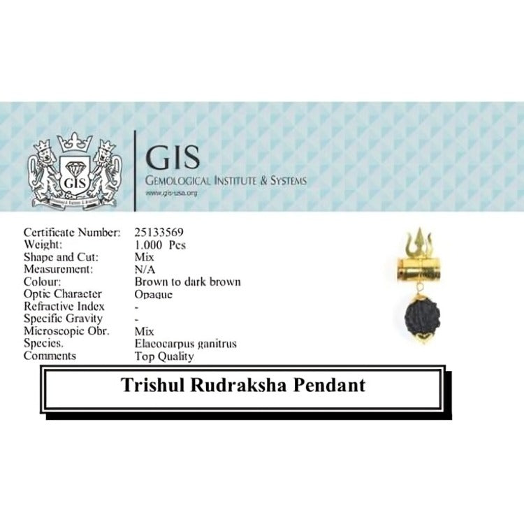 Shiv Shakti Trishul Rudraksha Pendant