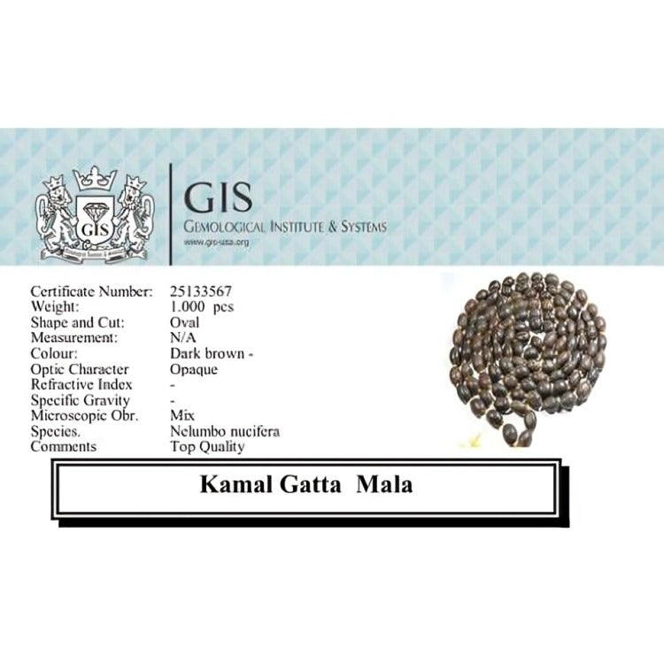 Natural Kamal Gatta Mala