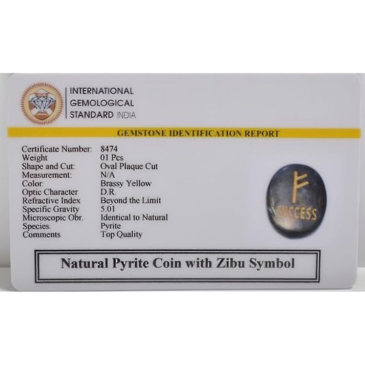 Pyrite Zibu Coin (Success)
