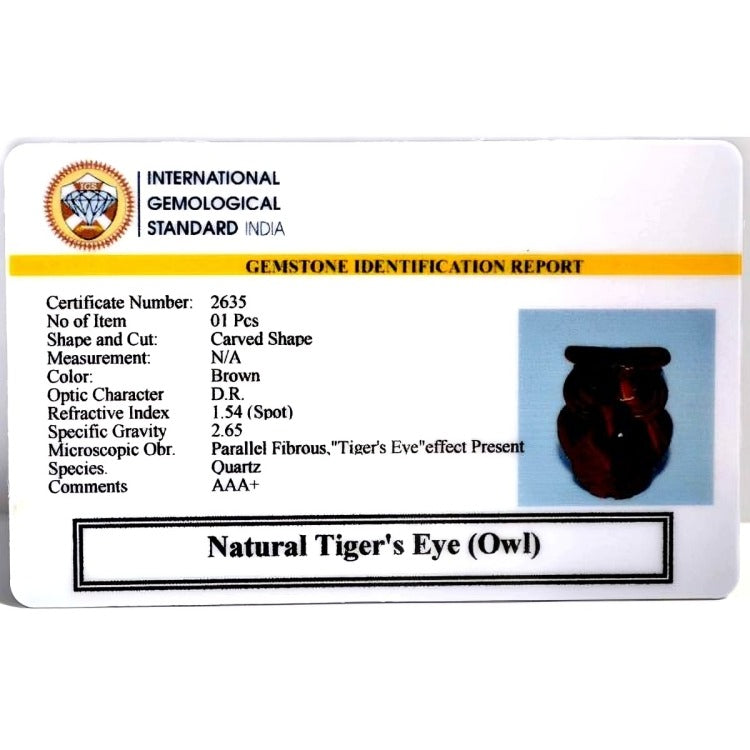 Tiger's Eye Owl