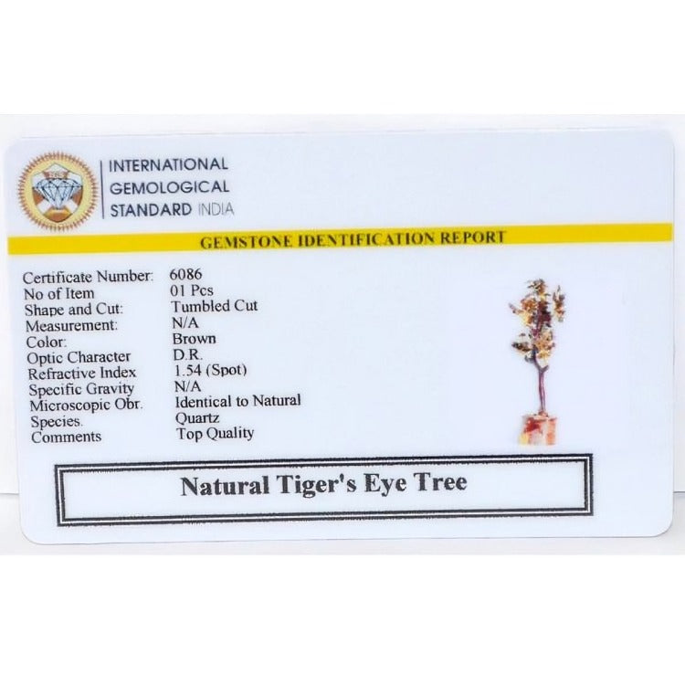 Natural Tiger's Eye Tree
