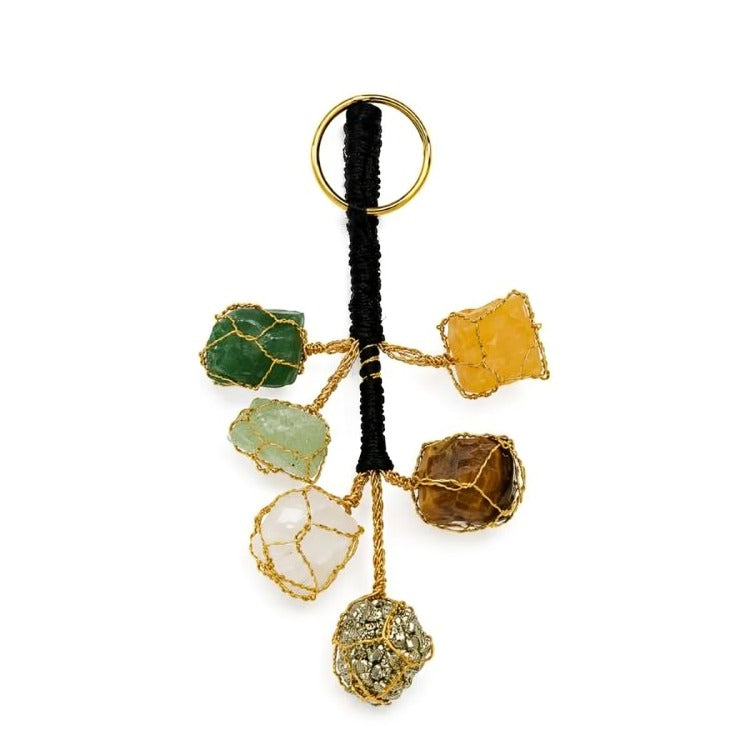 Dhan yog keyring