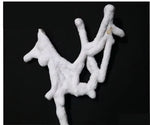 Fossilized White Coral