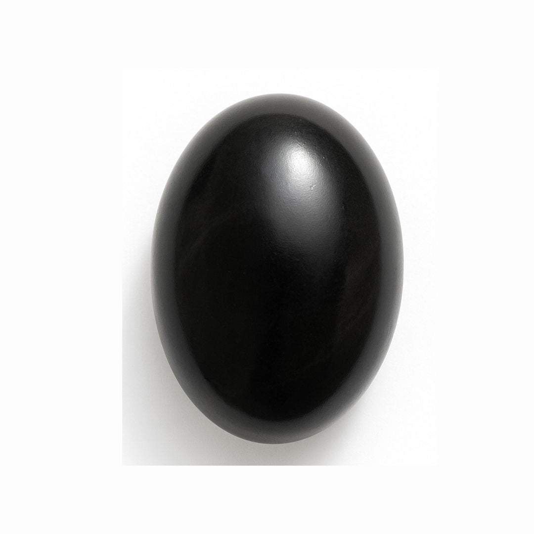 Shaligram