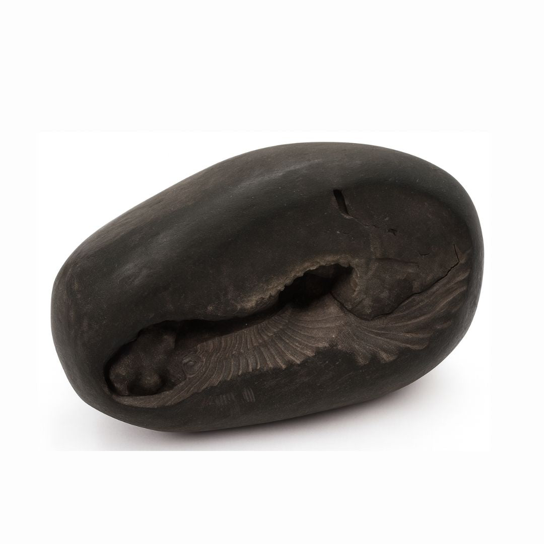 Natural Shaligram