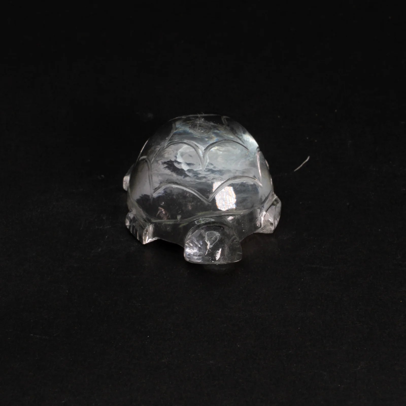 Sphatik Turtle