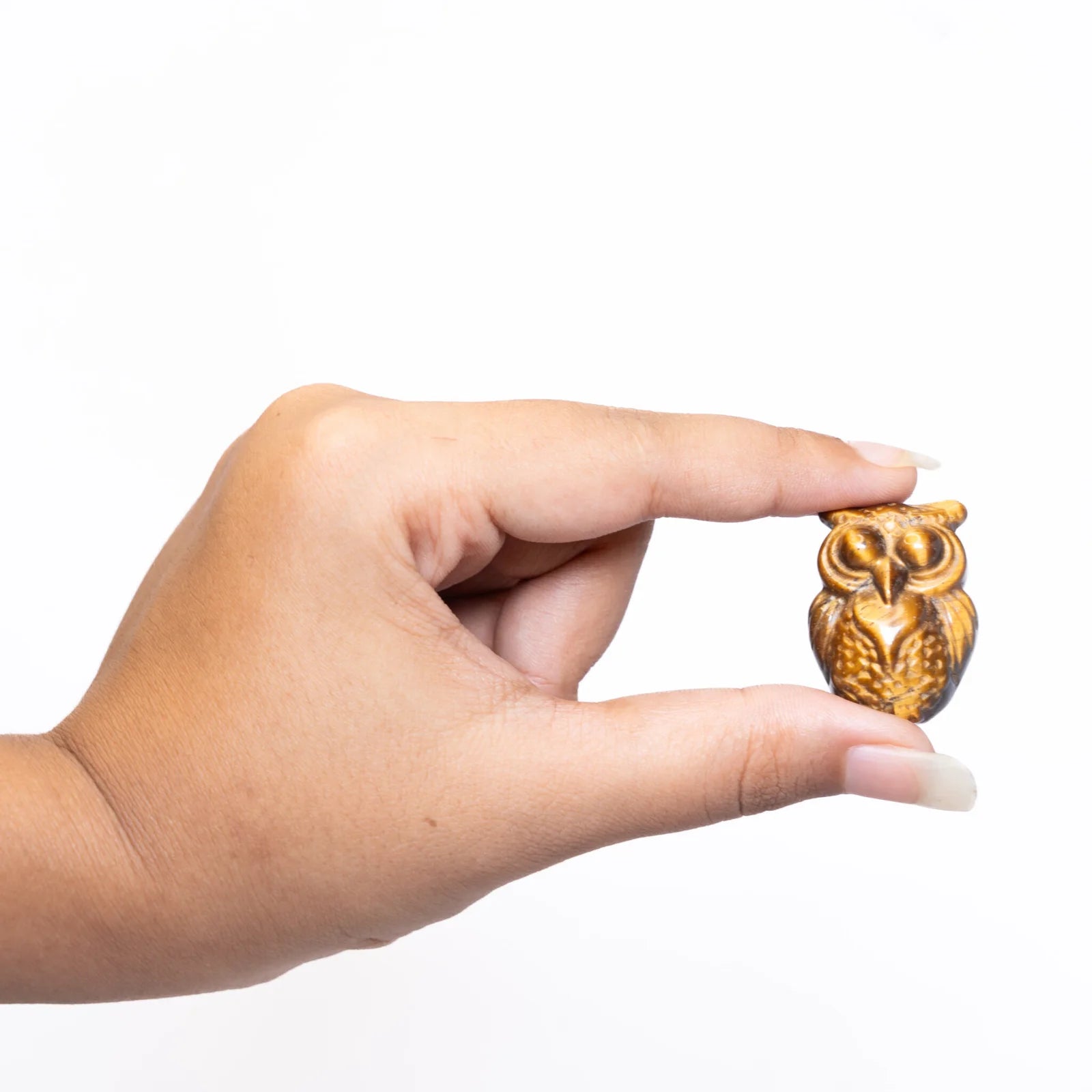 Tiger's Eye Owl